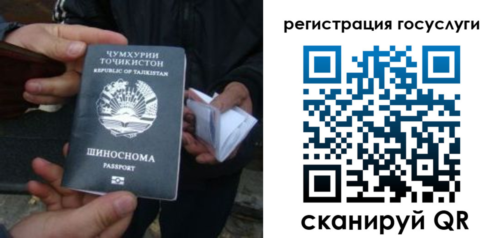 прописка регистрация в Шадринске